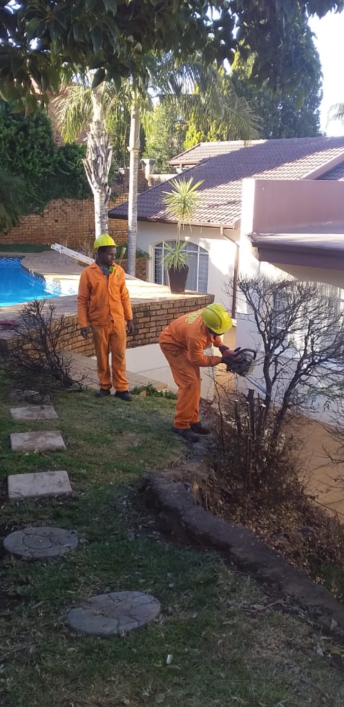 Safety gear garden maintenance