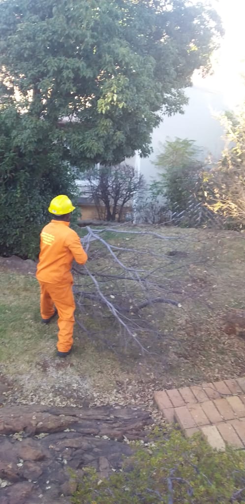 Professional outdoor workers