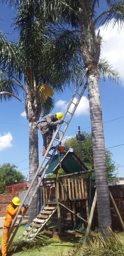 Professional outdoor workers