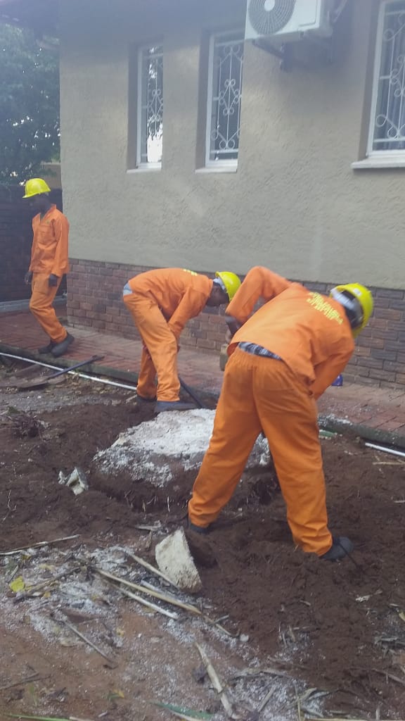 Professional outdoor workers