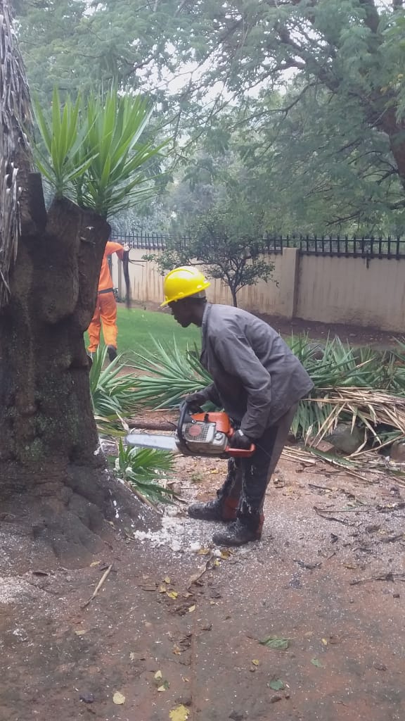 Safety gear garden maintenance
