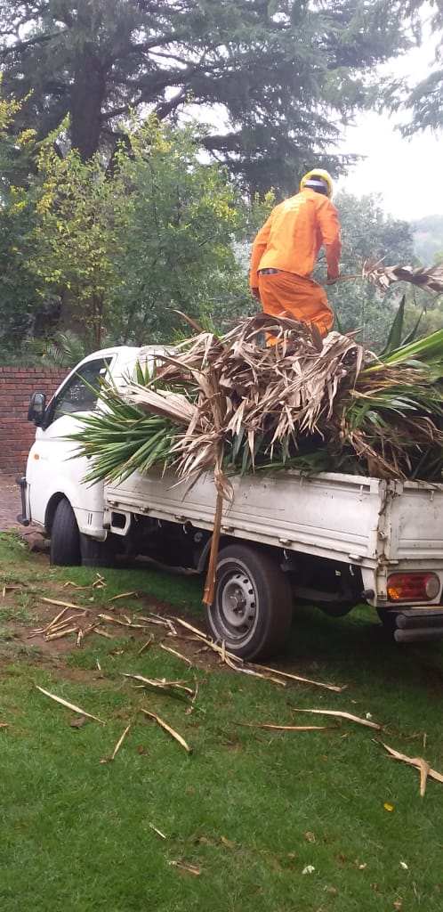 Professional outdoor workers