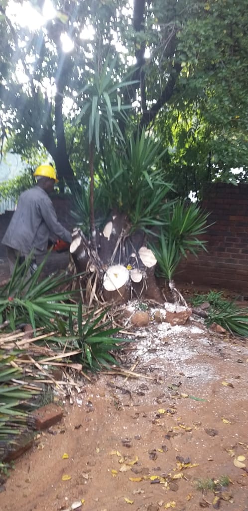 Safety gear garden maintenance