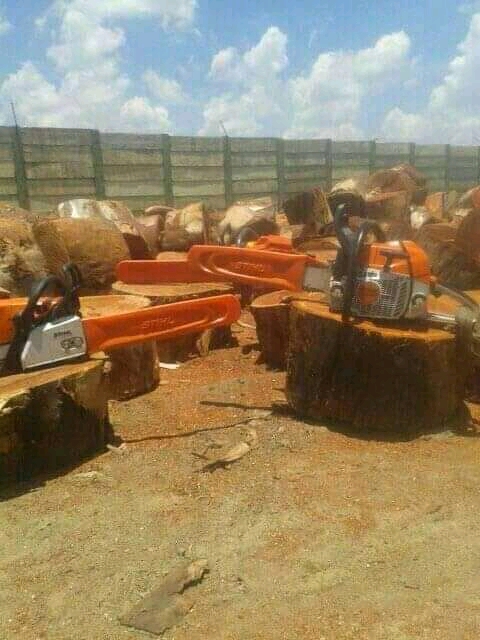 Professional outdoor workers