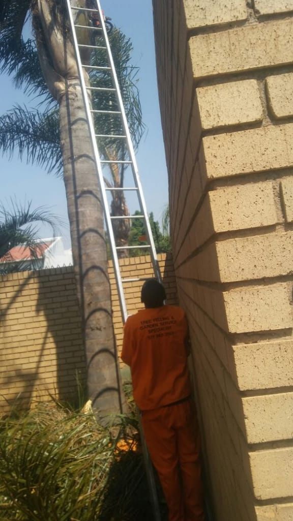 Safety gear garden maintenance