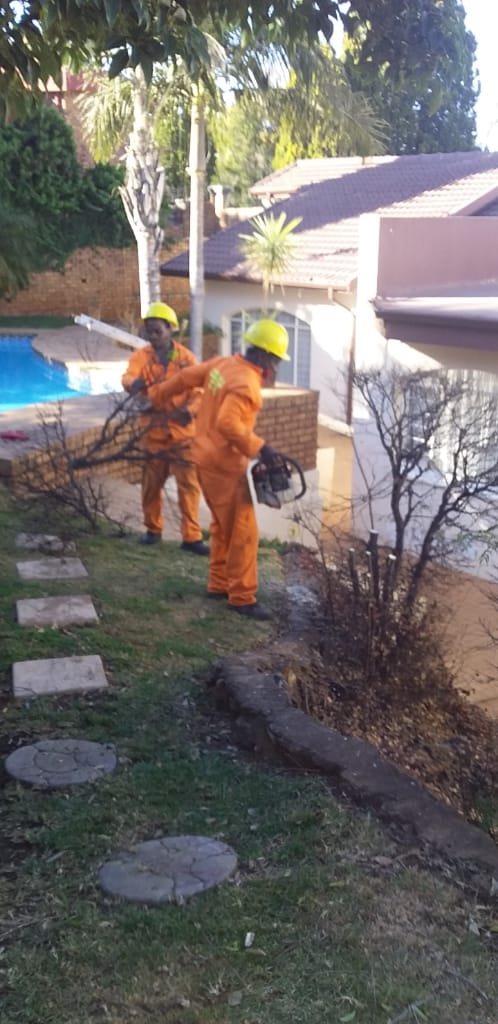 Safety gear garden maintenance