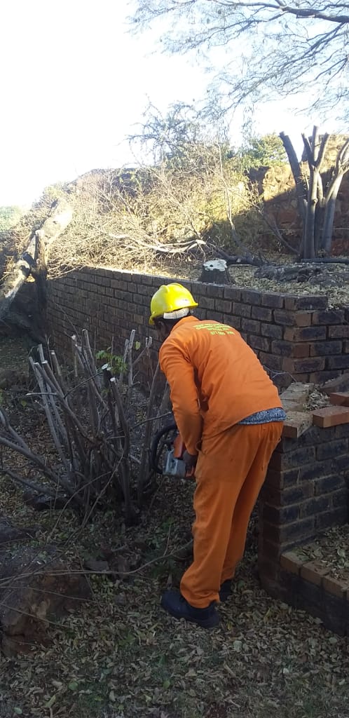 Professional outdoor workers