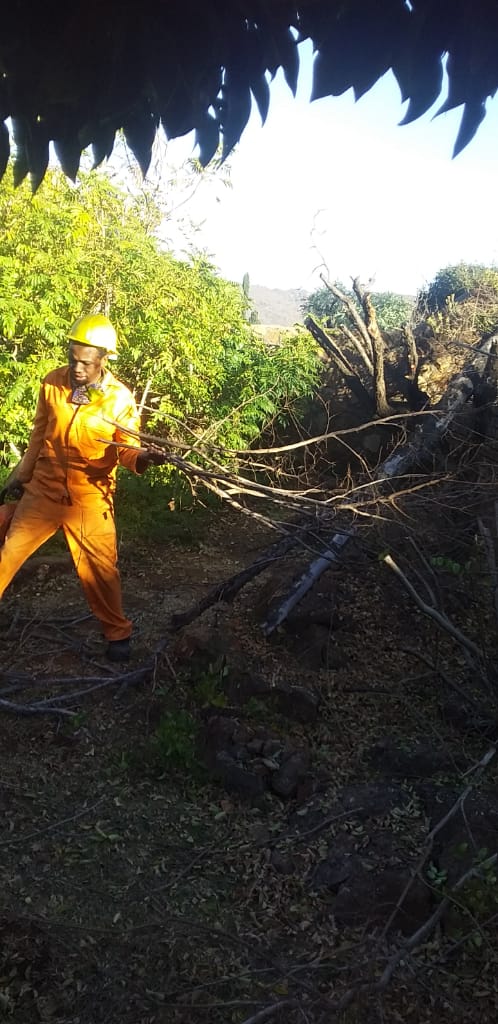 Safety gear garden maintenance