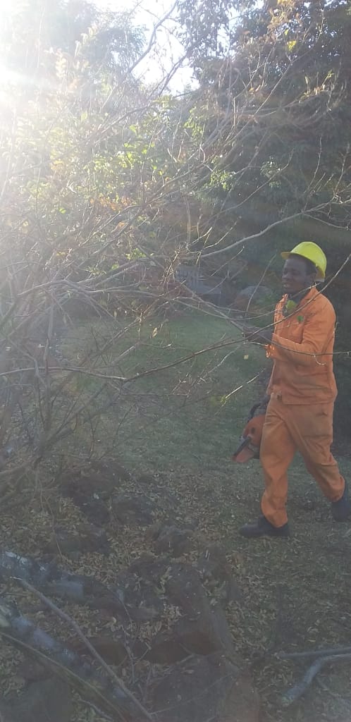 Professional outdoor workers