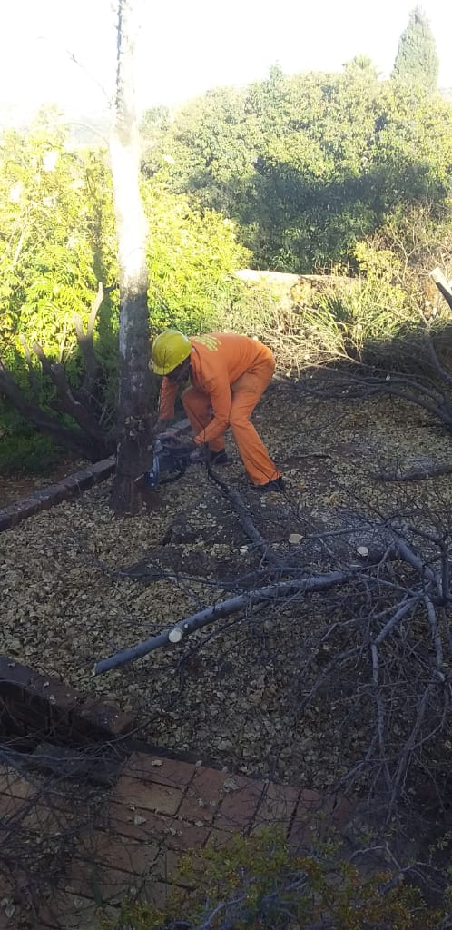 Safety gear garden maintenance