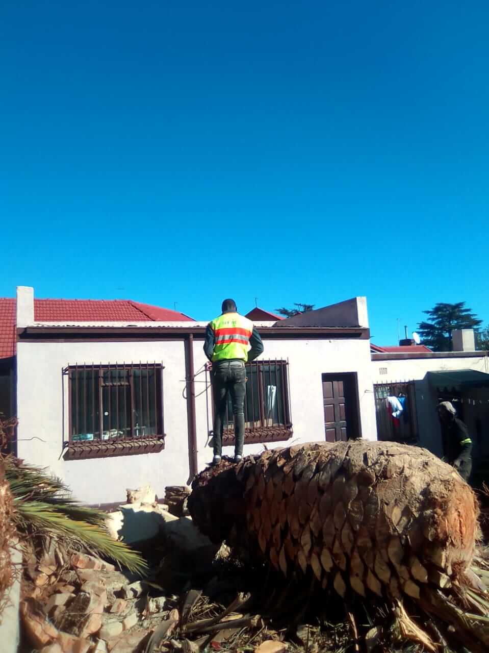 Tree Felling