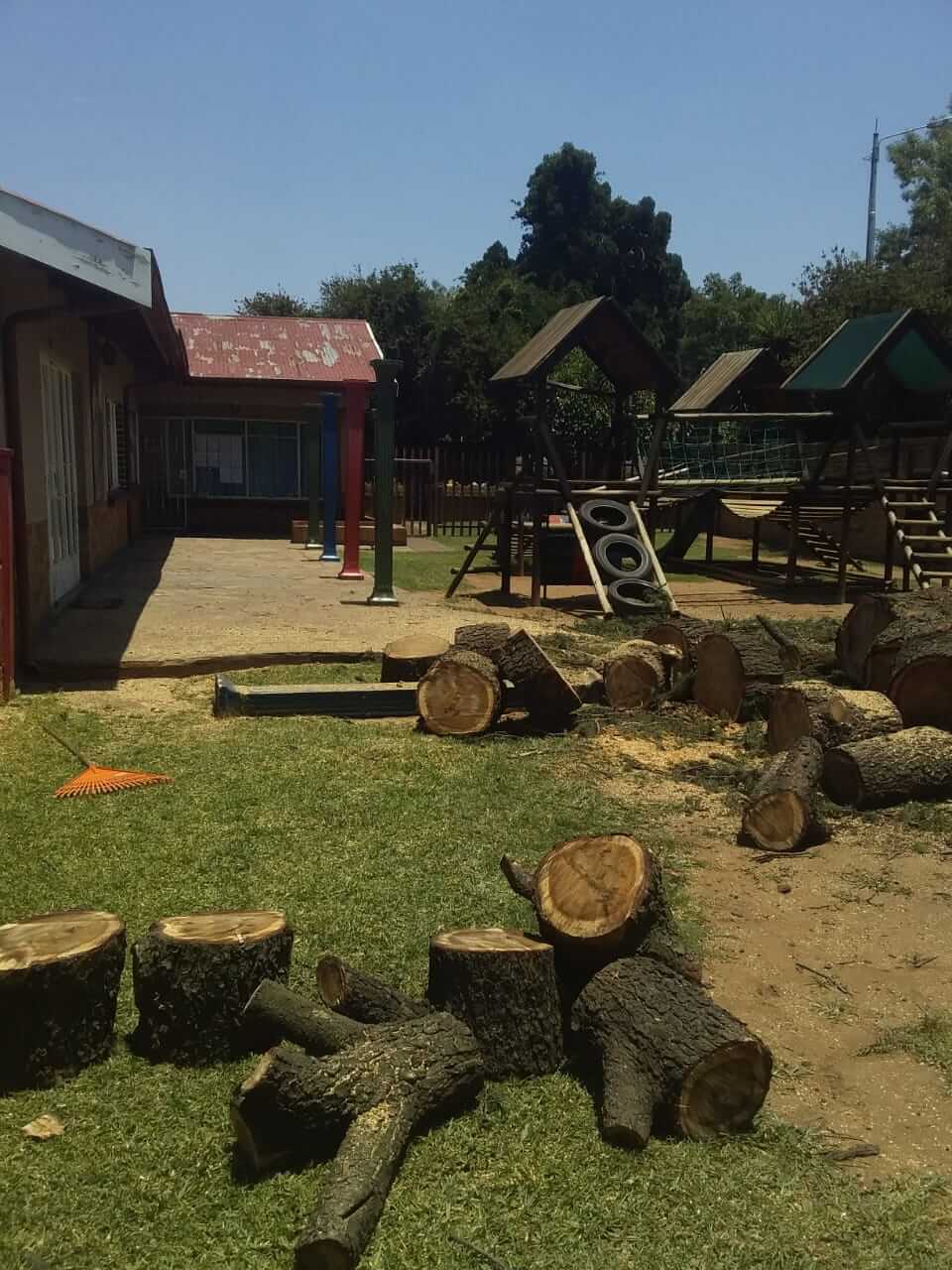 Tree felling in Johannesburg