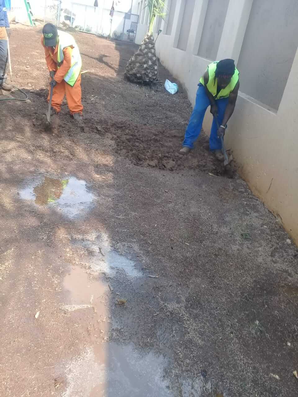 Professional outdoor workers