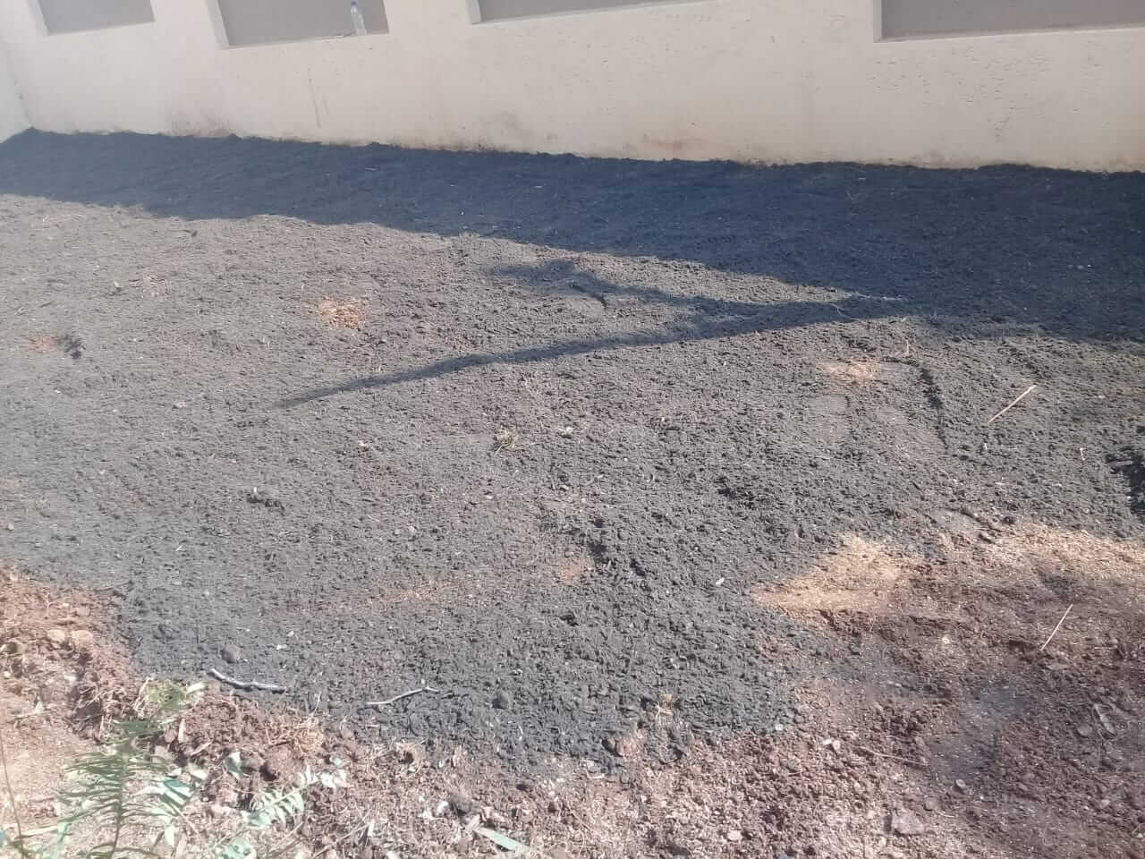 instant lawn johannesburg