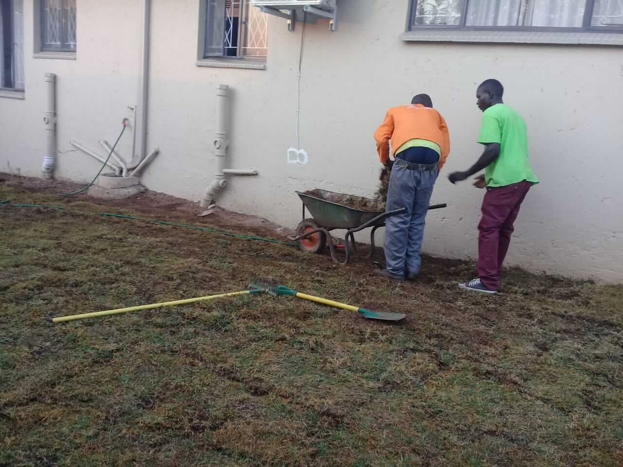Instant lawn installation