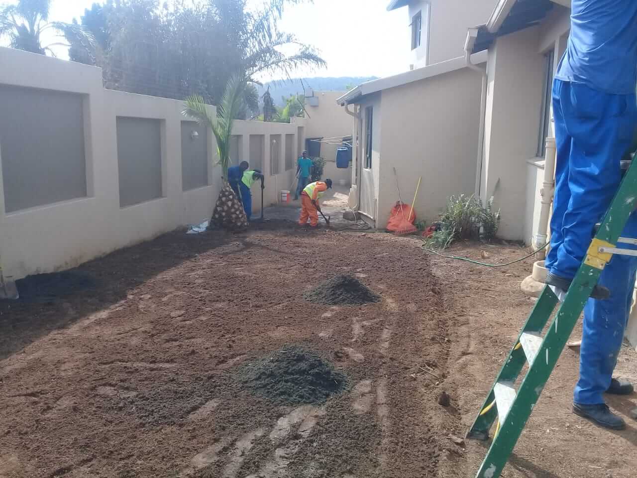 Installing of instant lawn