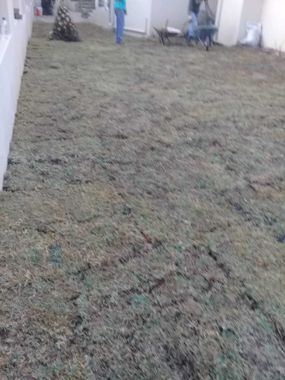Instant lawn sales and installation